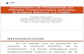 Estudio de la Coordinación de Protecciones                  por Métodos Computarizados aplicados al Sistema Eléctrico LA TOMA (INTERAGUA).ppt