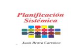 Planificacion Sistemica - Bravo Carrasco Juan