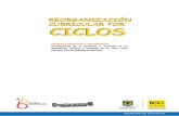 Cartilla Reorganizacion Curricular Por Ciclos 2da Edicion