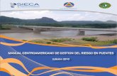 Manual CA de Gestión Del Riesgo en Puentes, Edición 2010