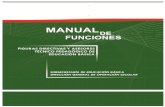 232640842 Manual de Funciones Director Supervisor y Jefe de Sector