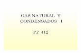 PP-412 Proyecto de Gas Natural