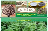 4 Manejo Ecologico de Plagas en Cultivo de Chia.02.07.13. Final