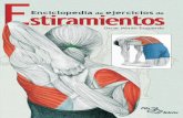 192490817 Enciclopedia de Ejercicios de Estiramientos