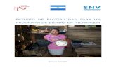 Estudio de Factabilidad Para Un Programa de Biogas Nicaragua 2010