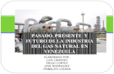 65064165 historia-de-la-industria-del-gas-natural-en-venezuela