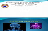 Diapositiva Sistema Nervioso