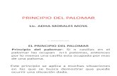 Principio Del Palomar Nuevo