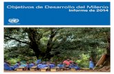 Informe de Objetivos de Desarrollo Del Milenio