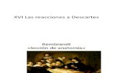 XVI Las Reacciones a Descartes