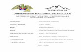 Informe Ppp Andaychagua Volcan