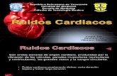 Ruidos Cardiacos S1 y S2