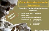 Anatomía Humana - Introduccion de Mm.ss