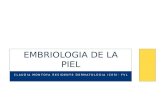 embriologia de la piel.pptx