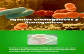 145239962 II 6 1 Agentes Cromogenicos y Fluorogenicos Pptx