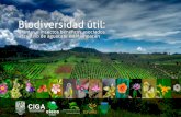 Biodiversidad útil: plantas e insectos benéficos asociados al cultivo de aguacate en Michoacán.