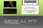 Exposicion Marcha Patologica 2014