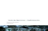 Guía de Ejercicios Optimización 2012-2 (1).pdf