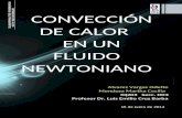 CONVECCIÓN DE CALOR EN UN FLUIDO NEWTONIANO Recuperado.docx