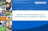 Curso de Especialista en Calculo y Dimensionado para Instalaciones Hidraulicas.pdf