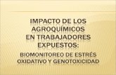 Impacto de Los Agroquímicos Ultimo Ultimo 97 2003