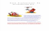 Guia Profesional de Aeromodelismo 2010 -Amm