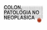189493331 Colon Patologia No Neoplasica