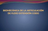 Biomecánica de La Articulación de Flexo Extensión Codo