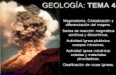 04 Geología Tema 4