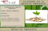 Ex. Economia Ambiental