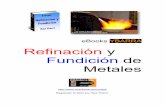 Refinacion y Fundicion de Metales - Raul Ybarra