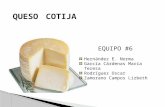 Queso Cotija Final Equipo 6
