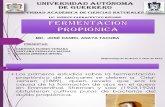 165638699 Fermentacion Propionica 2
