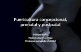 2014 Puericultura Concepcional, Prenatal y Postnatal