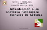 Introduccion Anatomia Patologica (1)