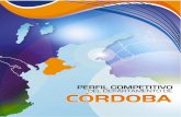 9. Perfil Competitividad Córdoba (2011) (Estadísticas Importantes)