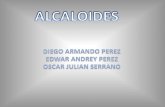 Alcaloides 091119154147 Phpapp02 [Autoguardado] Copia