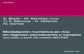 BLAD Modelación Numérica en Ríos en Régimen Permanente y Variable - Blade Et Al