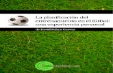 David Palma Cueva-Planificacion Futbol