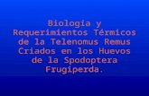 Biología y Requerimientos Térmicos de la Telenomus Remus.pptx
