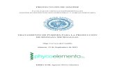 Tratamiento de Purines Para La Producción de Biomasa Microalgal-cervera Del Castillo, Olga