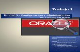Conceptos Basicos Sobre Oracle DataBase 11g