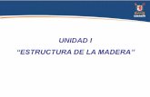 Estructura de La Madera