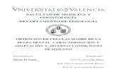 Tesis OBTENCIÓN DE CÉLULAS MADRE DE LA PULPA DENTAL.pdf