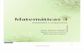 Matematicas 3 Habilidades y Competencias