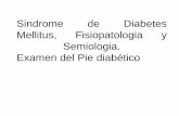 5. Sindrome de Diabetes Mellitus, Fisiopatologia y Semiologia