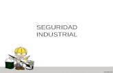 Higiene y Seguridad Industrial.ppt