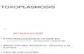 Toxoplasmosis 2014 Clase