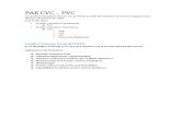 PAE CVC - PVC  (TAREA) final.docx