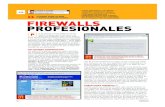 Seguridad - Firewalls Profesionales